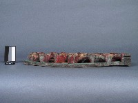 月樑藏品圖，第2張