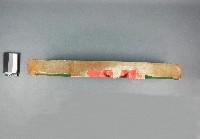 月樑藏品圖，第2張