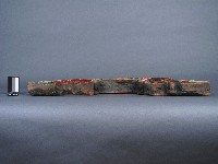 斗座藏品圖，第2張