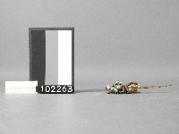 彩珠蝴蝶紋髮簪藏品圖，第2張