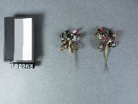 彩珠蝴蝶紋髮簪藏品圖，第1張