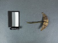 銅銀錯月形髮簪藏品圖，第1張