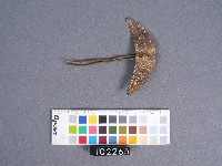 銅銀錯月形髮簪藏品圖，第4張