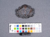 香火牌(鎖片)藏品圖，第2張