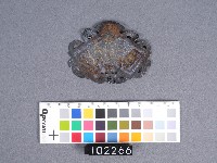 香火牌(鎖片)藏品圖，第3張