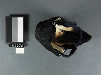 三寸金蓮-右鞋藏品圖，第2張