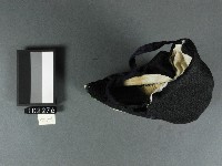 三寸金蓮-左鞋藏品圖，第2張