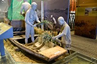 鴨母船藏品圖，第3張