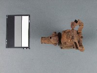 幫浦藏品圖，第2張