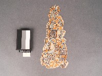 燈座龍柱-雙龍套色版畫藏品圖，第1張