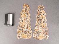 燈座龍柱-雙龍套色版畫藏品圖，第1張