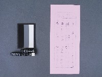 碧霞宮籤詩藏品圖，第2張