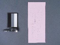 碧霞宮籤詩藏品圖，第2張