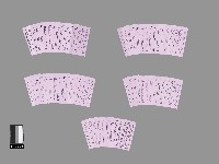 碧霞宮籤詩藏品圖，第1張