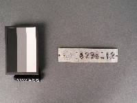 鐵牌(台電4294-12)藏品圖，第1張