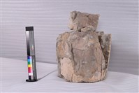 水泥桶塊藏品圖，第5張