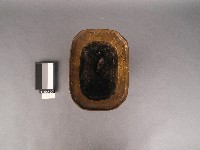 如意燭臺藏品圖，第2張