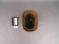 如意燭臺藏品圖，第2張