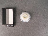 青花杯子藏品圖，第3張