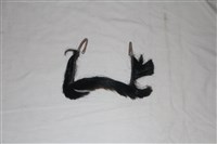 短鬍藏品圖，第1張