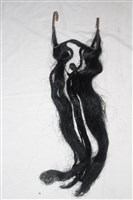 開口鬍藏品圖，第1張