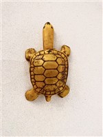 金龜藏品圖，第1張