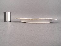 紅綠彩鯉魚紋盤藏品圖，第2張