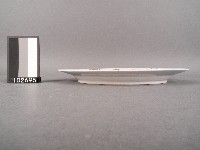 彩繪宮燈紋盤藏品圖，第2張