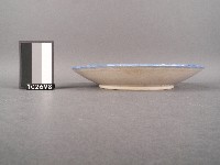 彩繪花卉飛鳥紋盤藏品圖，第2張