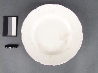 白瓷盤藏品圖，第1張