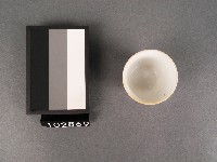 藍綠彩花卉福字杯藏品圖，第2張