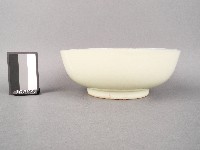 彩繪雙魚紋碗藏品圖，第2張