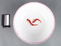 紅藍彩雙魚紋碗藏品圖，第1張