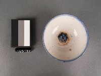 藍綠彩線紋福字碗藏品圖，第2張