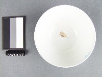 彩繪葉紋碗藏品圖，第2張