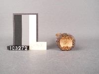 通鼓藏品圖，第8張