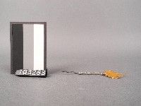 金花(鉚)藏品圖，第2張