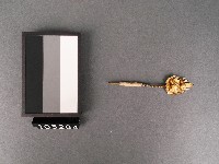 金花(鉚)藏品圖，第3張