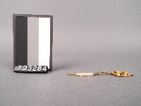 金花(鉚)藏品圖，第4張