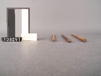 鼓藏品圖，第6張