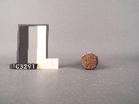 鼓藏品圖，第8張