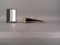 龍角藏品圖，第2張