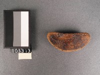 筶藏品圖，第1張