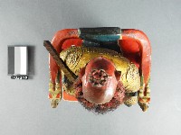 豁落靈官王天君神像藏品圖，第2張