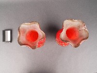 花瓶藏品圖，第2張