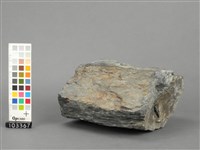 板岩藏品圖，第3張