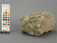 片麻岩藏品圖，第5張