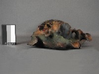 觀世音菩薩神像藏品圖，第2張