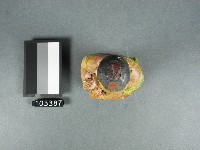 善才侍神神像藏品圖，第2張