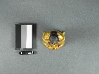 龍女侍神神像藏品圖，第2張